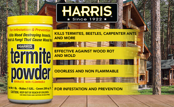 Termite Powder