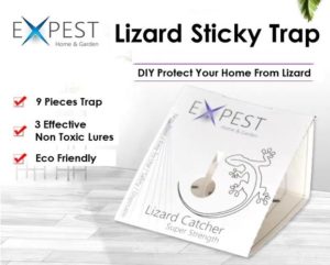 Lizard (Cicak) Sticky Trap