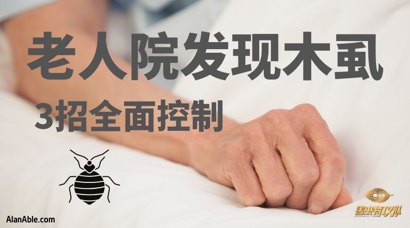 how to get rid of bed bug 如何消灭木虱