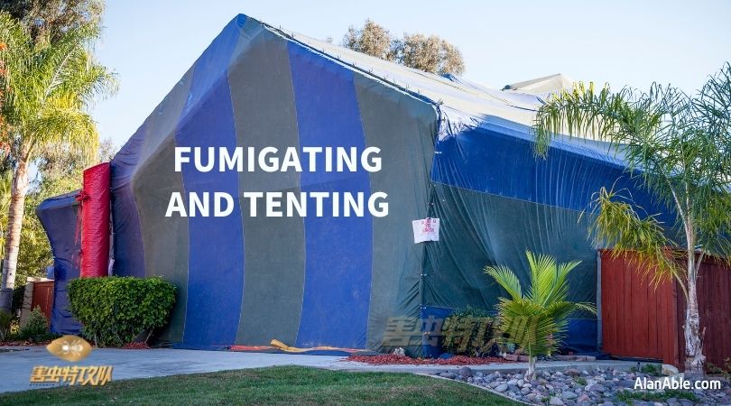 FUMIGATING AND TENTING _ TERMITE TREATMENT