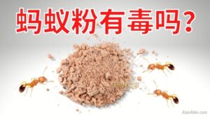 is-ant-powder-poisonous-to-humans 白蚁粉有毒吗